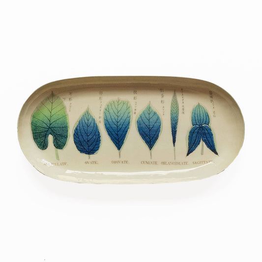 Shapes of Leaves Oval Enamel Tray