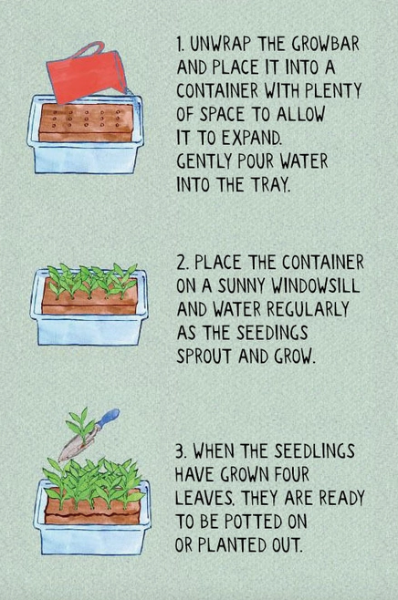 The Edible Flower Growbar