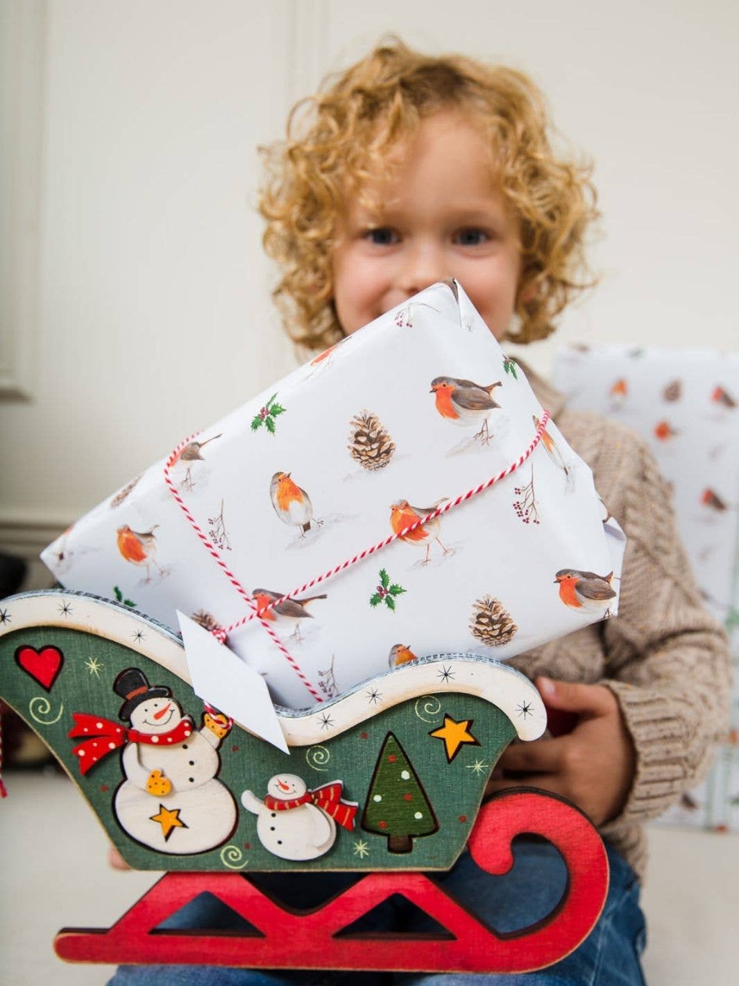 Christmas Robins Wrapping Paper