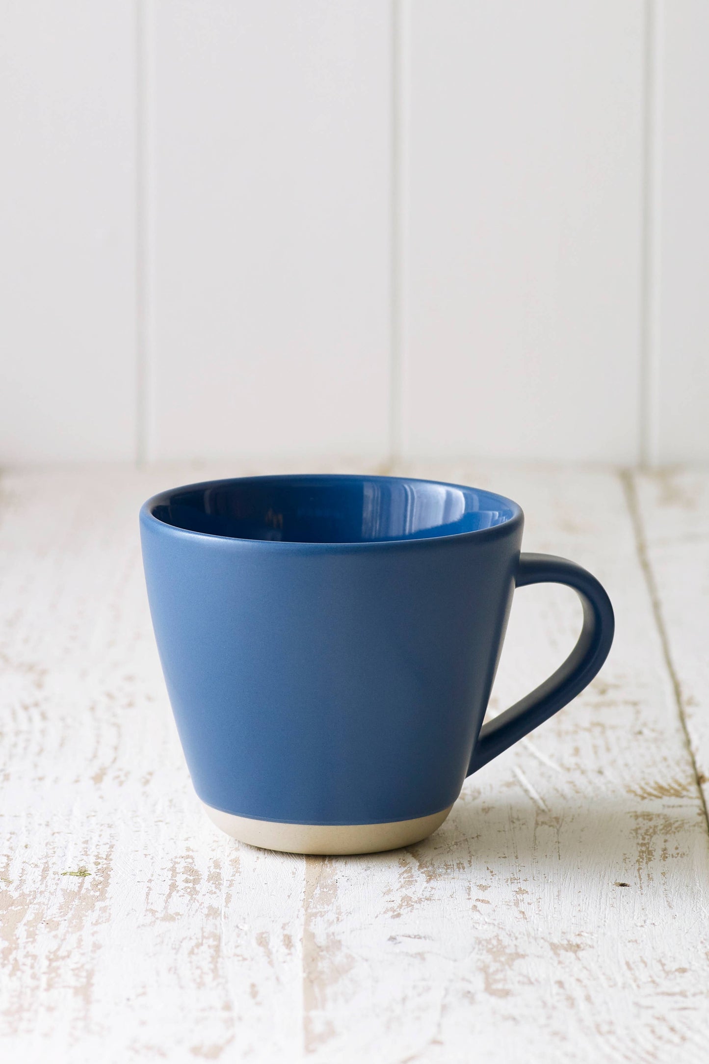 Slt Blue Mug