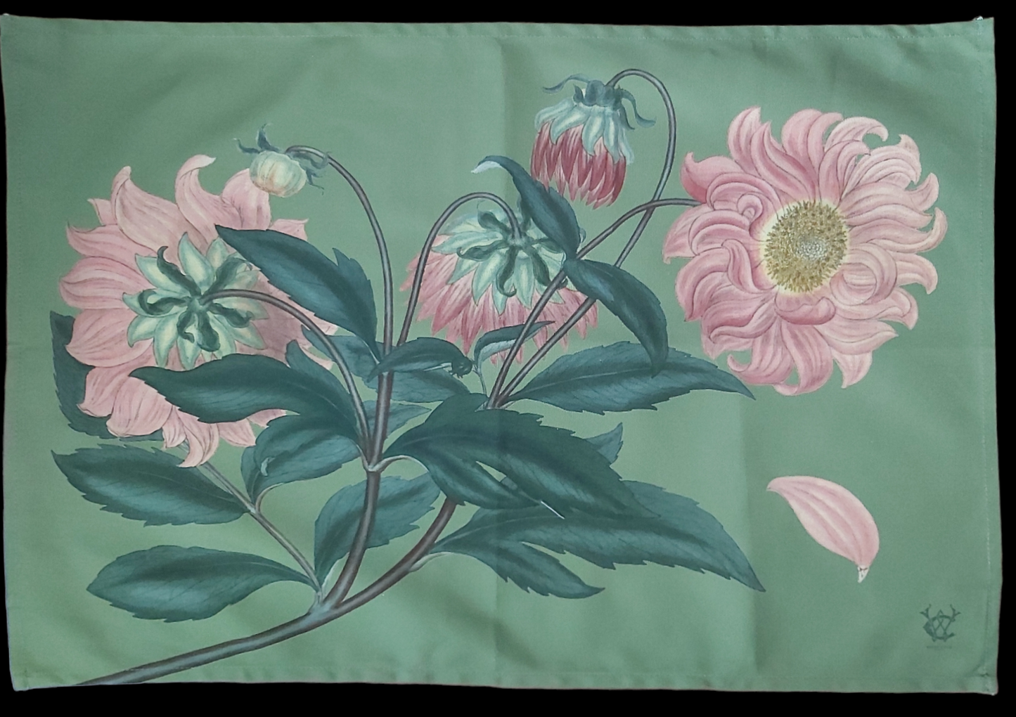 Dahlia Pinnata Antique Print Tea Towel with Green Background