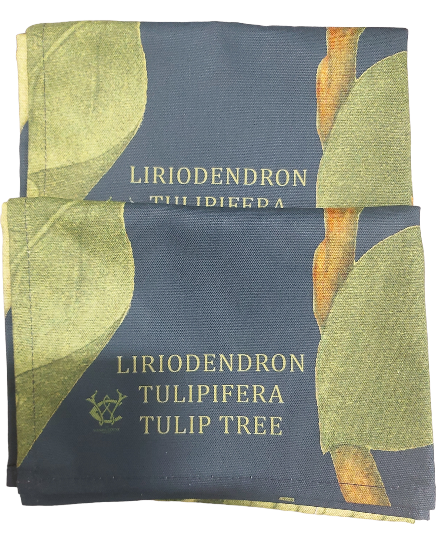 Liriodendron Tulipifera Tulip Tree Antique Print Tea Towel