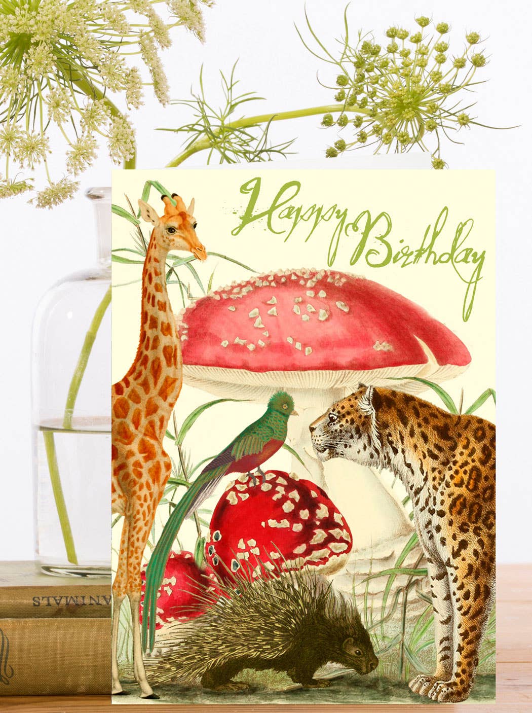 Toadstool Safari Birthday Card