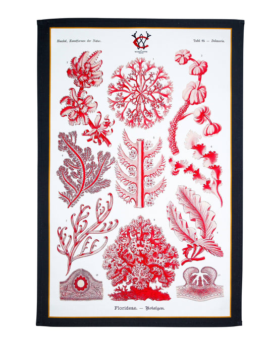 Red Sea Coral Tea Towel