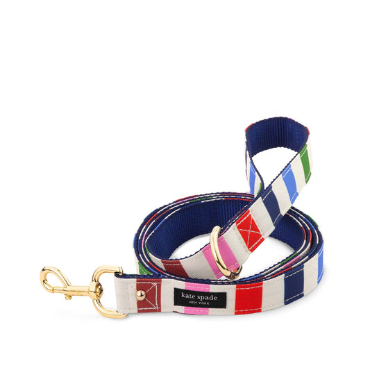 Large Dog Lead, Adventure Stripe